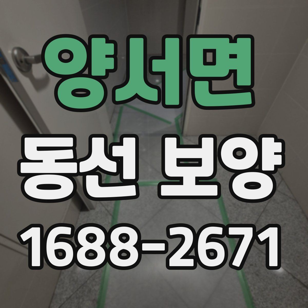 양서면 동선 보양 전후 차이를 알기 쉽게 정리