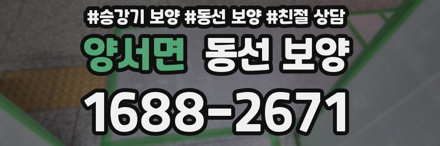 양서면 동선 보양