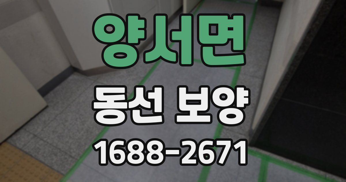 양서면 동선 보양