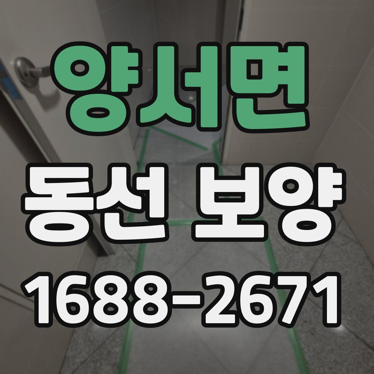 양서면 동선 보양