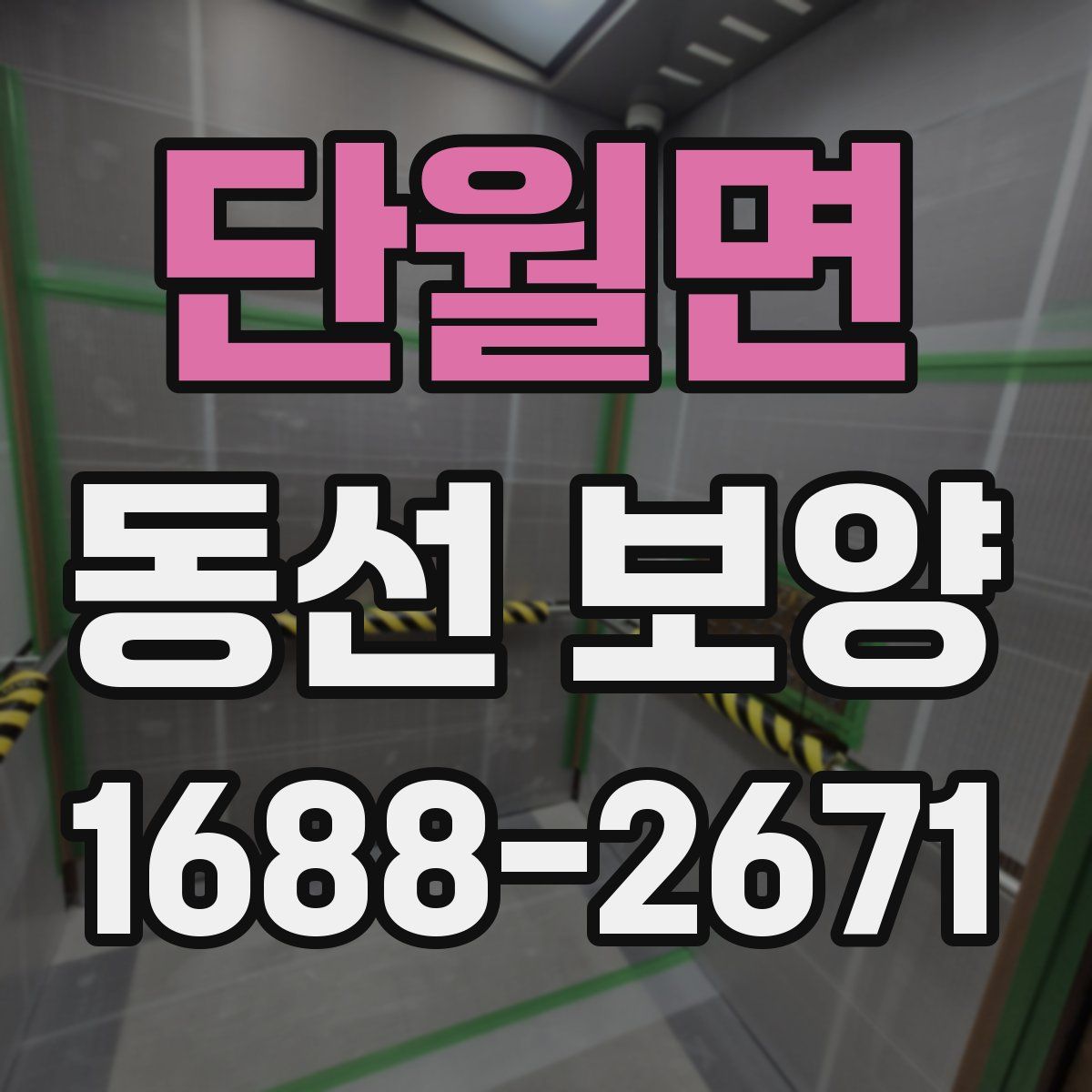 단월면 동선 보양