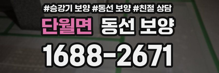 단월면 동선 보양