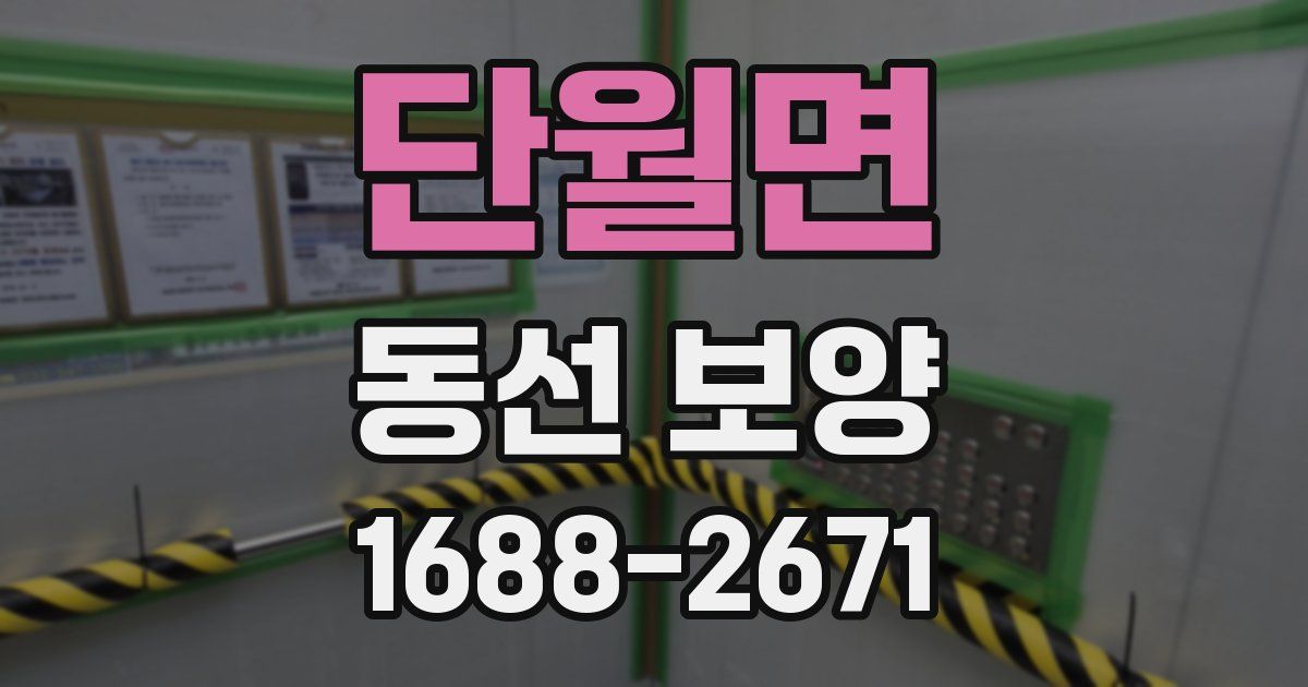 단월면 동선 보양