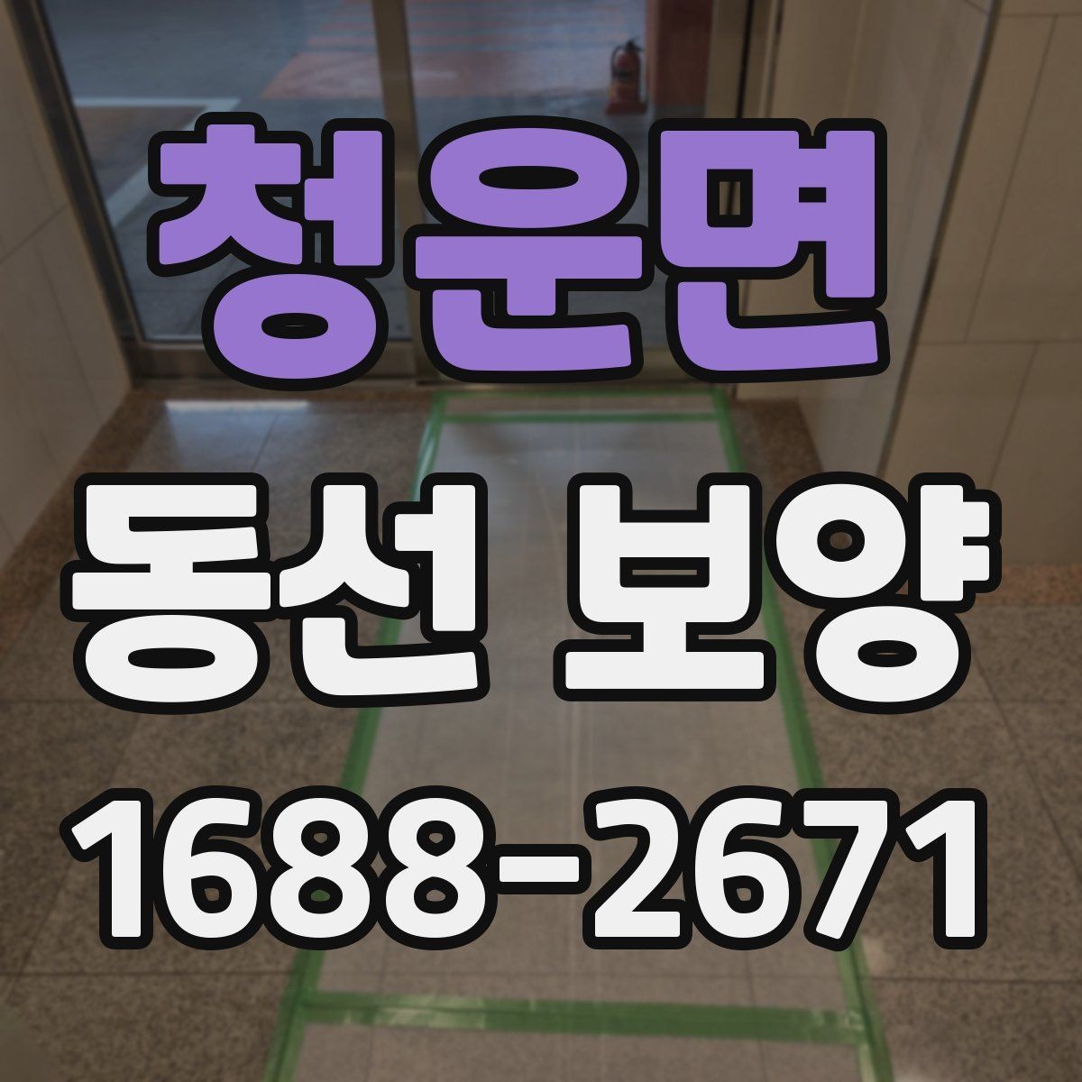 청운면 동선 보양 선택 시 품질과 비용을 함께 보는 법