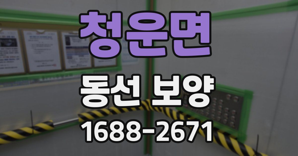 청운면 동선 보양