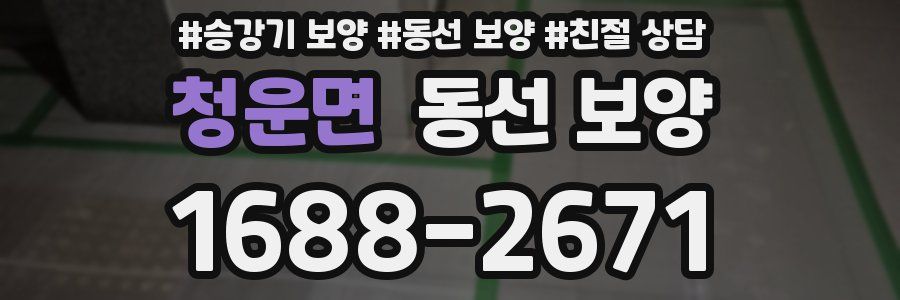 청운면 동선 보양
