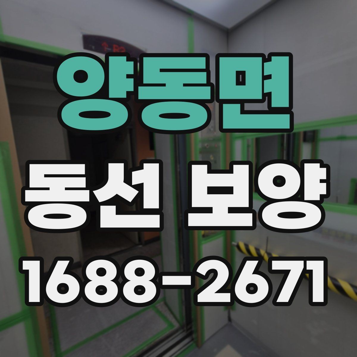 양동면 동선 보양 작업에서 품질 차이를 만드는 요인