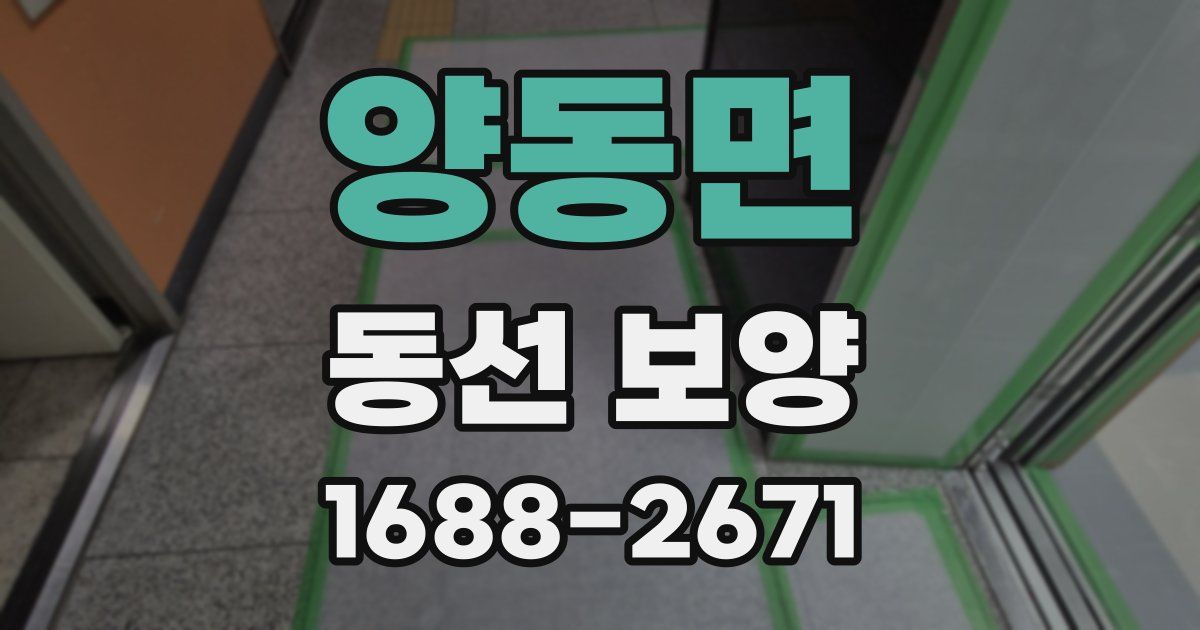 양동면 동선 보양