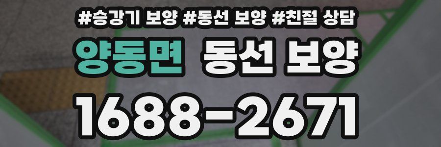 양동면 동선 보양