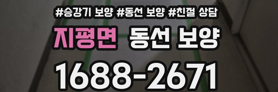 지평면 동선 보양