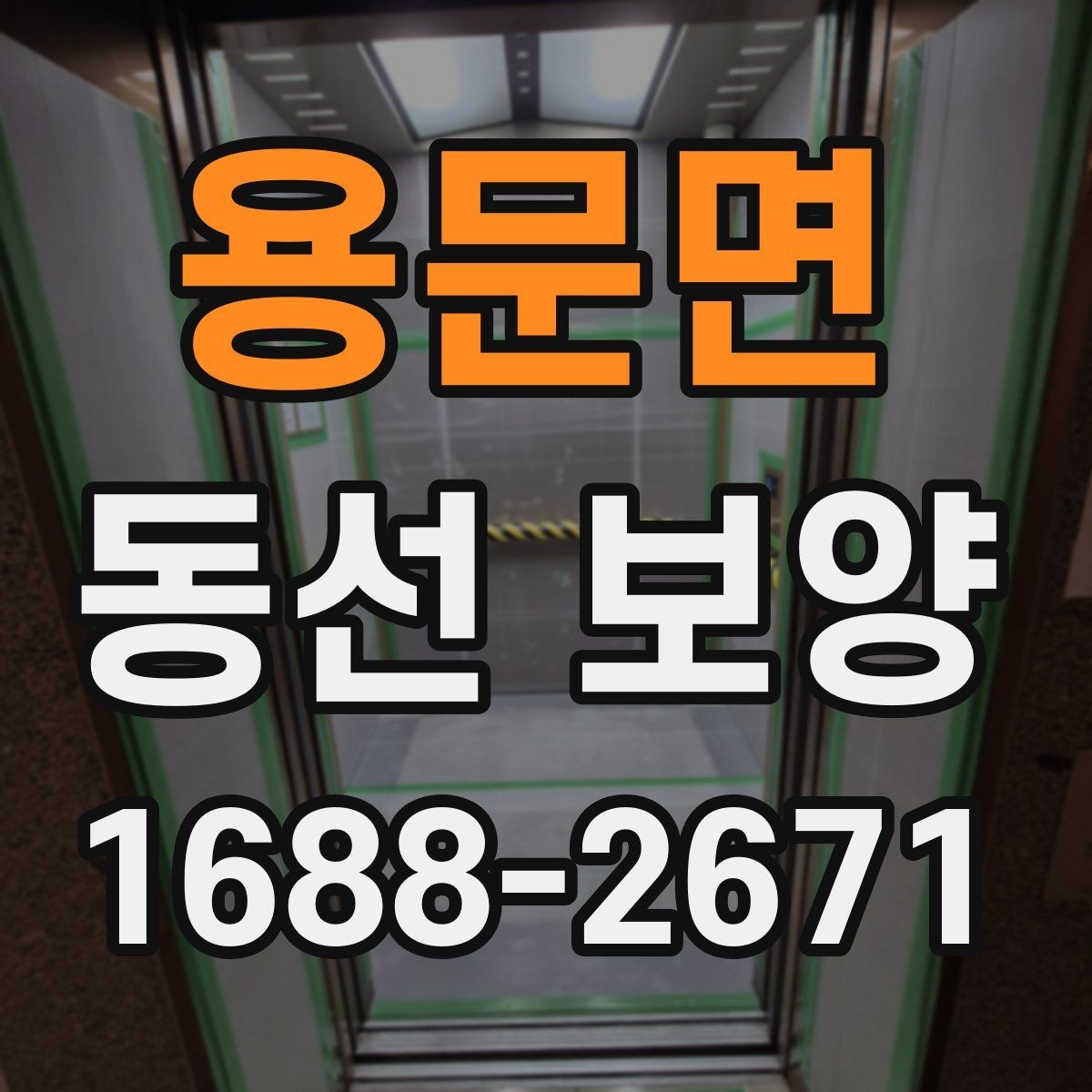 용문면 동선 보양 현장에서는 어떤 점을 먼저 볼까