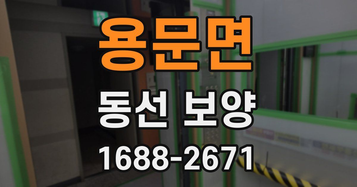 용문면 동선 보양