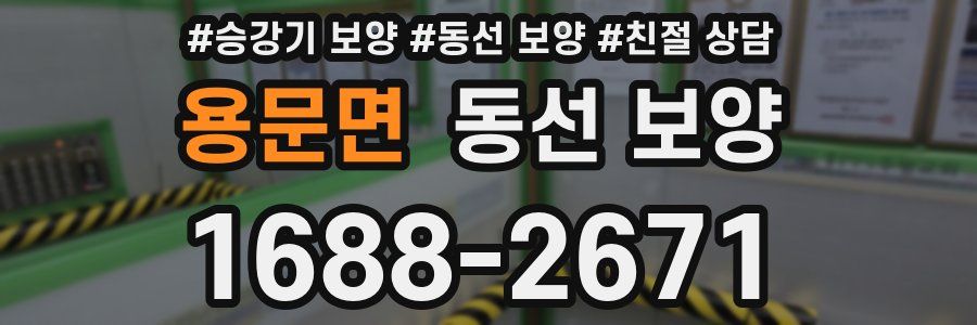 용문면 동선 보양