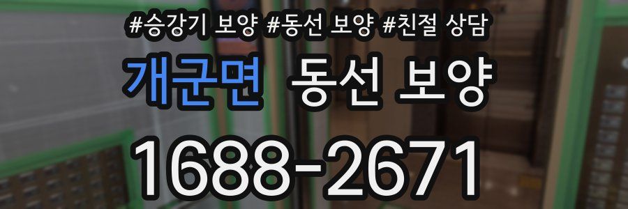 개군면 동선 보양