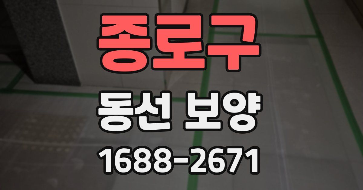 종로구 동선 보양