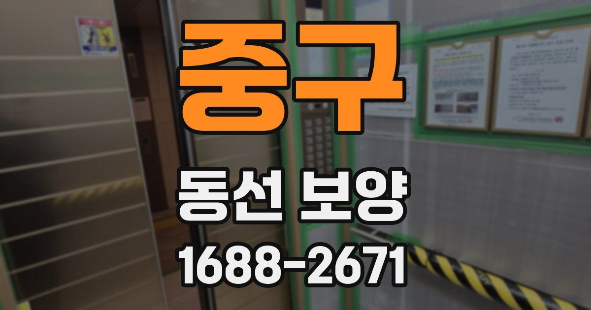 중구 동선 보양
