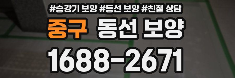 중구 동선 보양