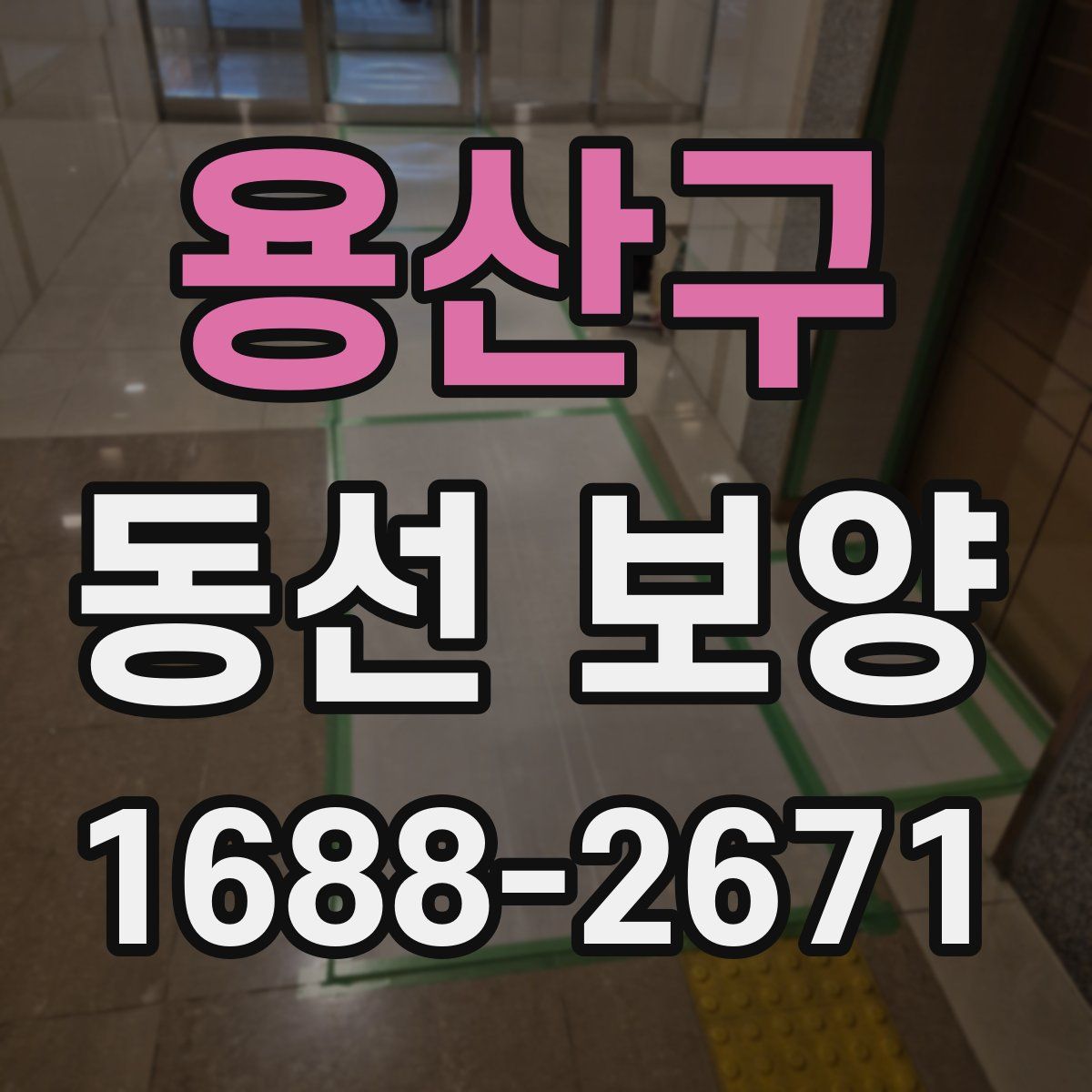 용산구 동선 보양