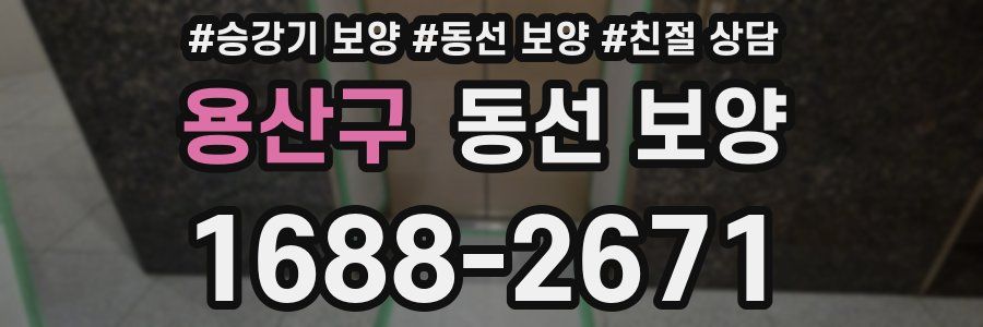 용산구 동선 보양