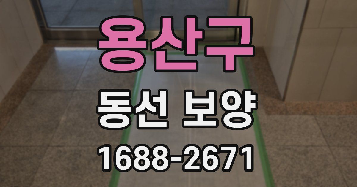 용산구 동선 보양