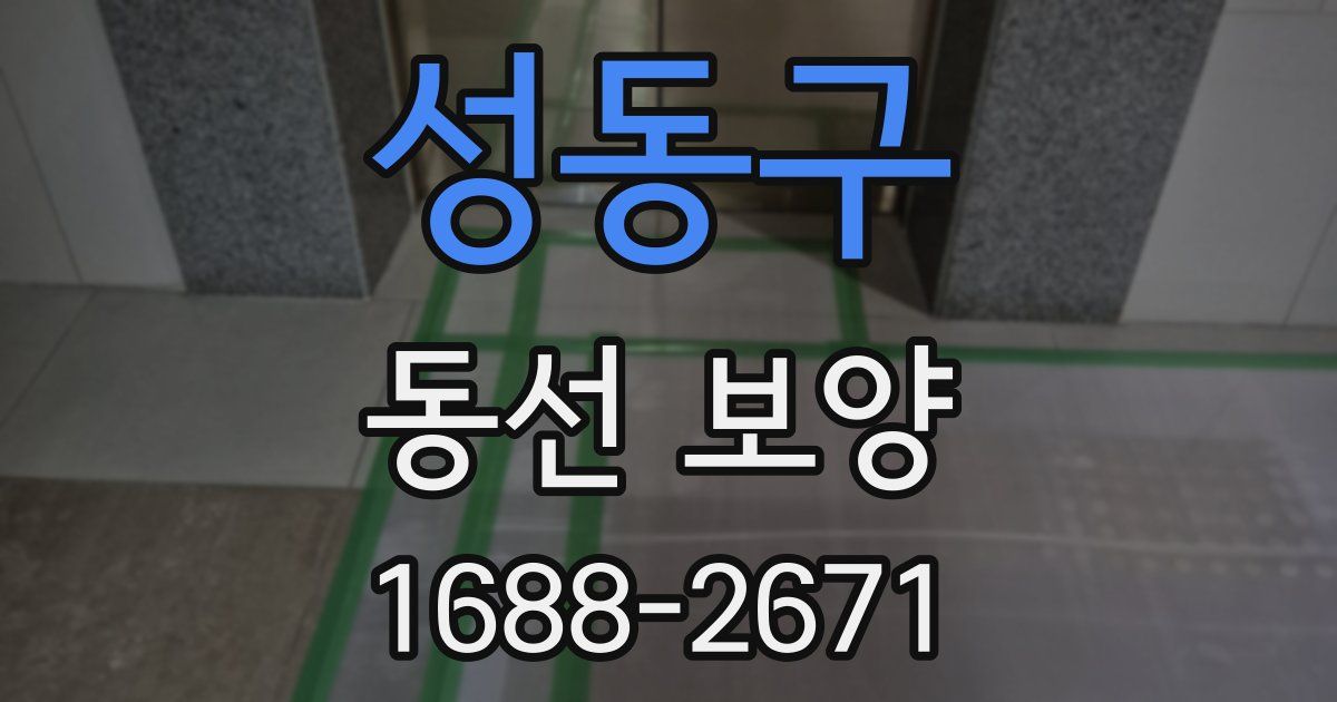 성동구 동선 보양