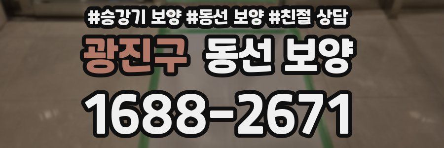 광진구 동선 보양