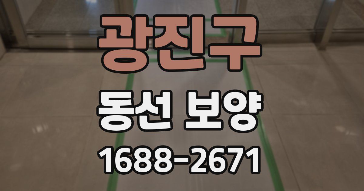 광진구 동선 보양