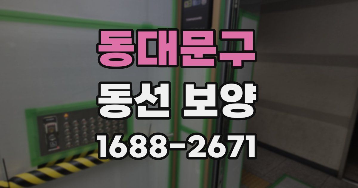 동대문구 동선 보양