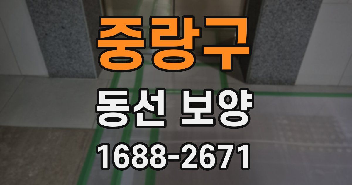 중랑구 동선 보양