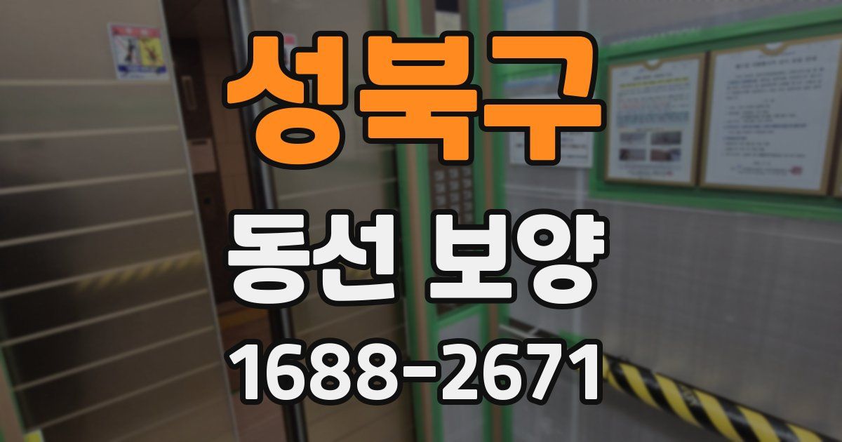 성북구 동선 보양
