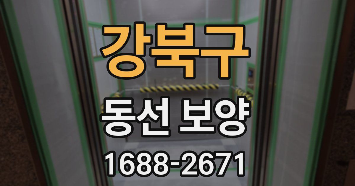 강북구 동선 보양