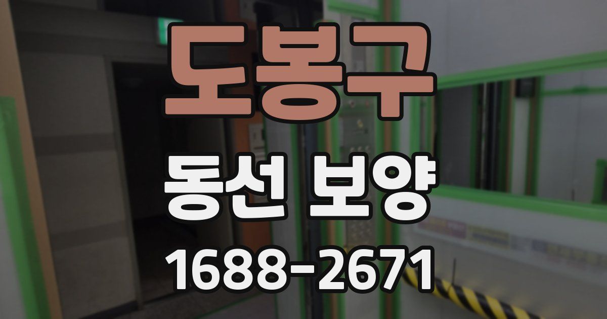 도봉구 동선 보양