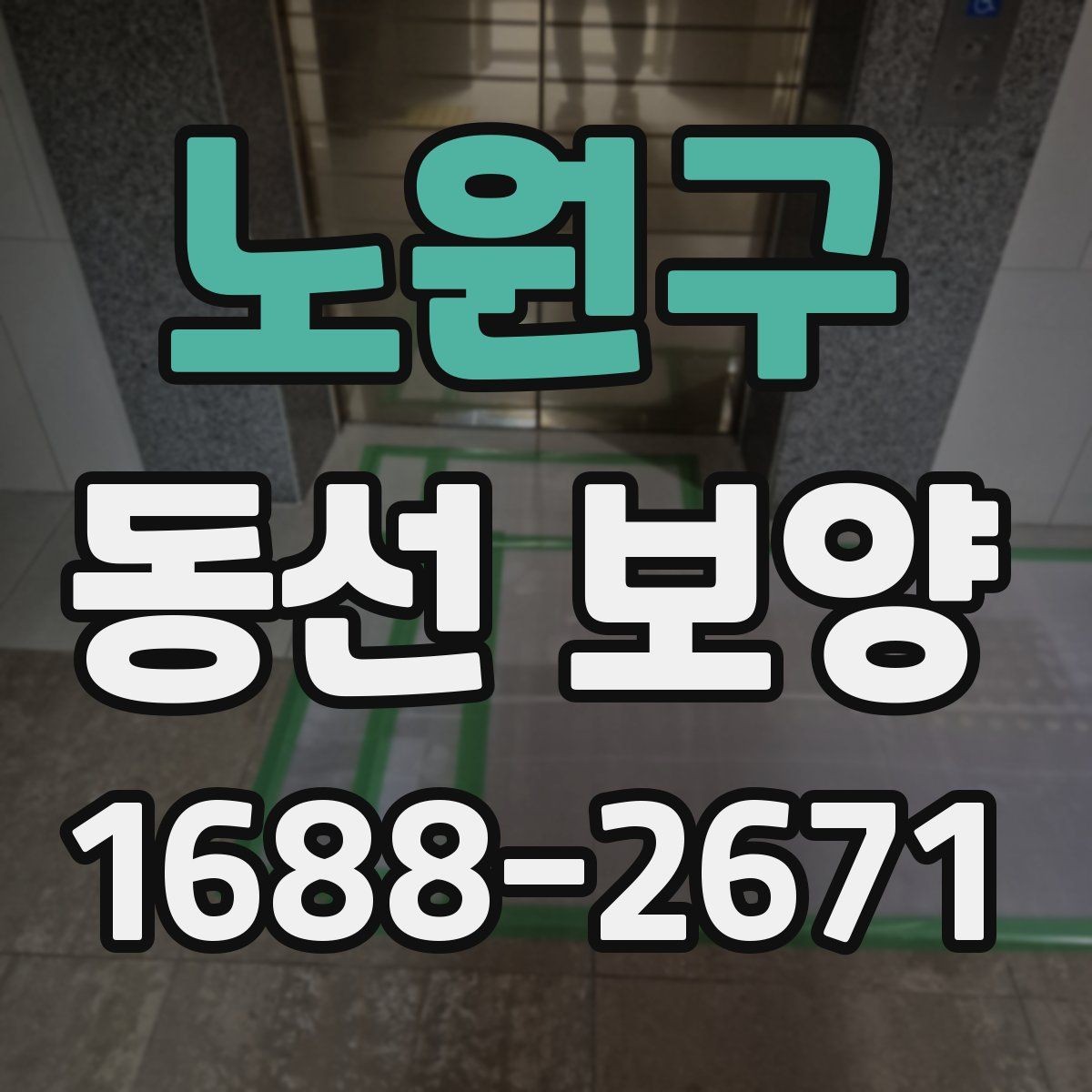 노원구 동선 보양 현장 적용 사례와 작업 노하우
