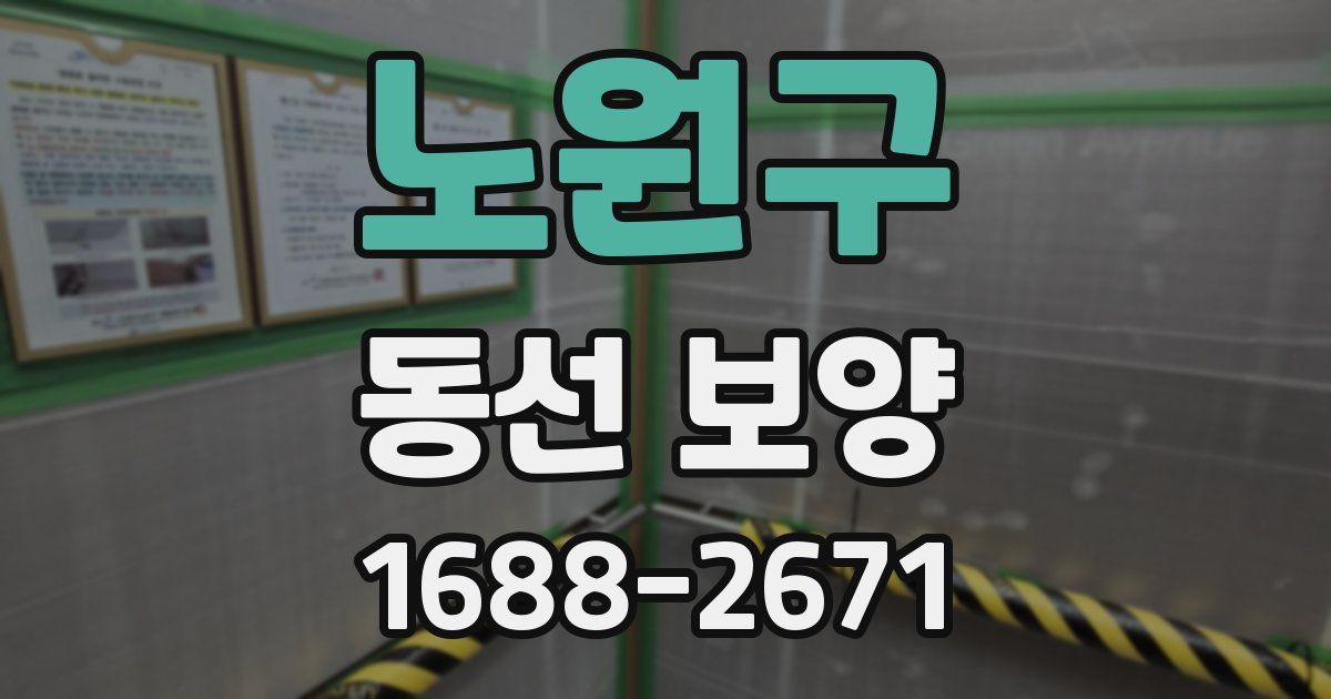 노원구 동선 보양