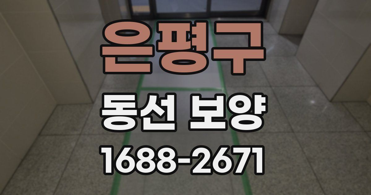 은평구 동선 보양
