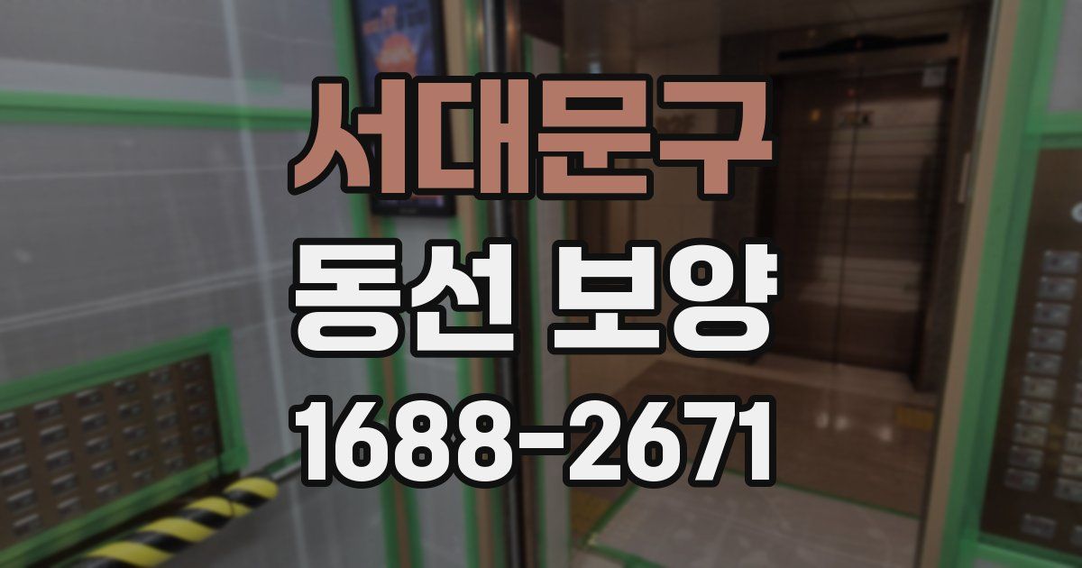 서대문구 동선 보양