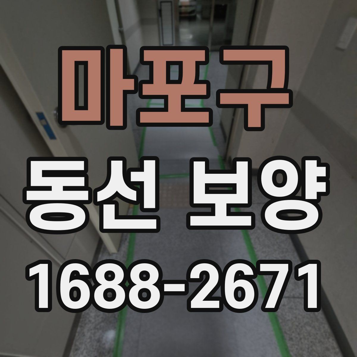 마포구 동선 보양 작업의 완성도를 높이는 관리법
