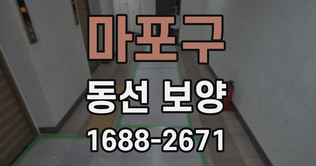 마포구 동선 보양