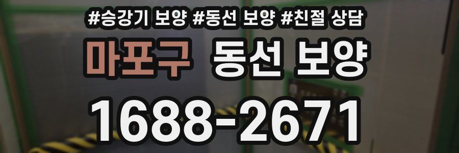 마포구 동선 보양
