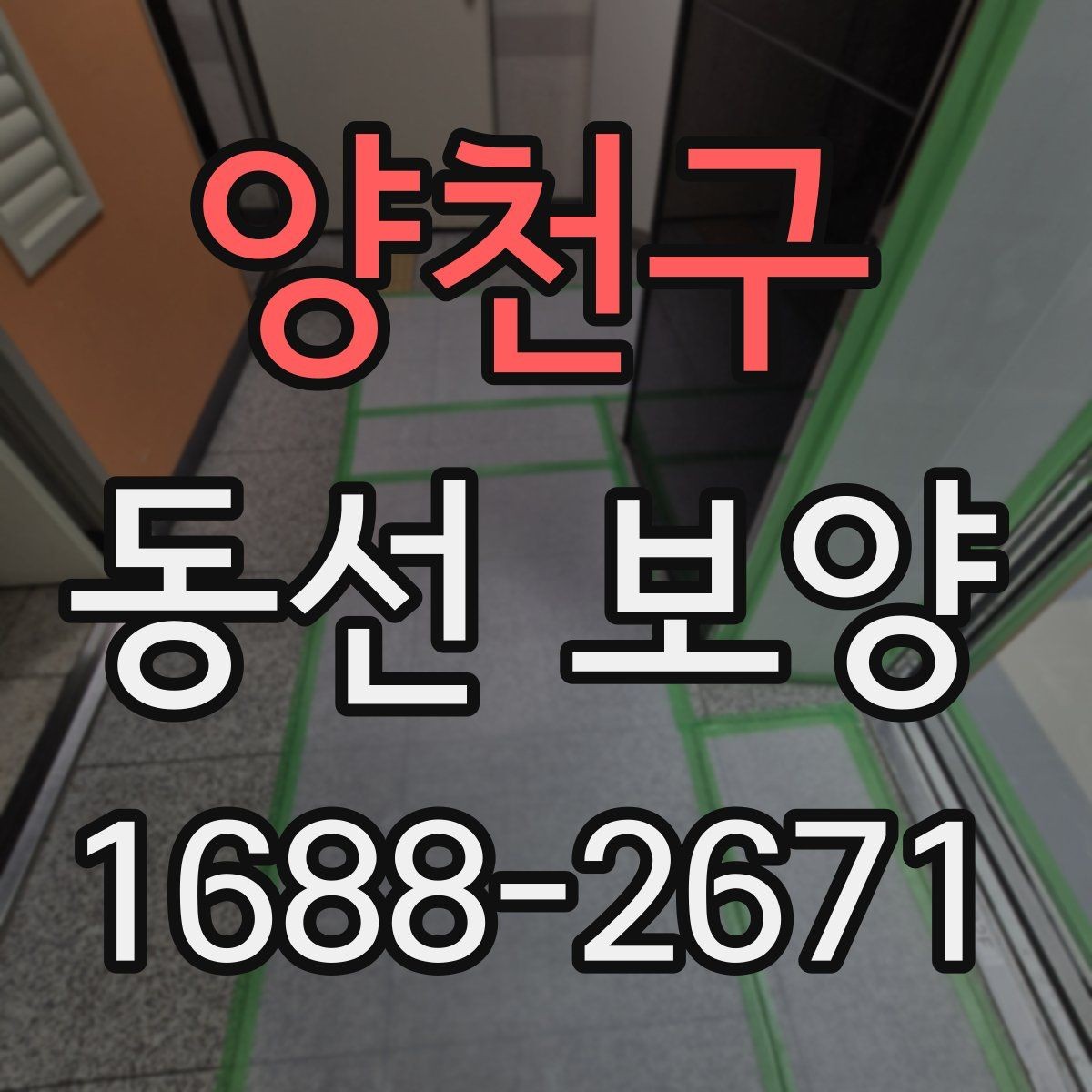 양천구 동선 보양 자재 비용과 품질의 관계