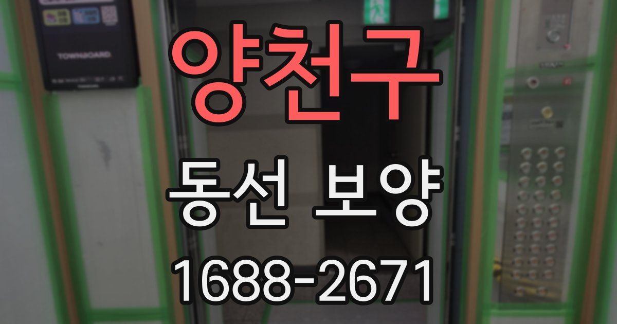 양천구 동선 보양
