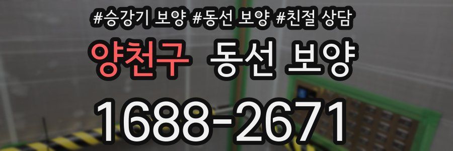 양천구 동선 보양