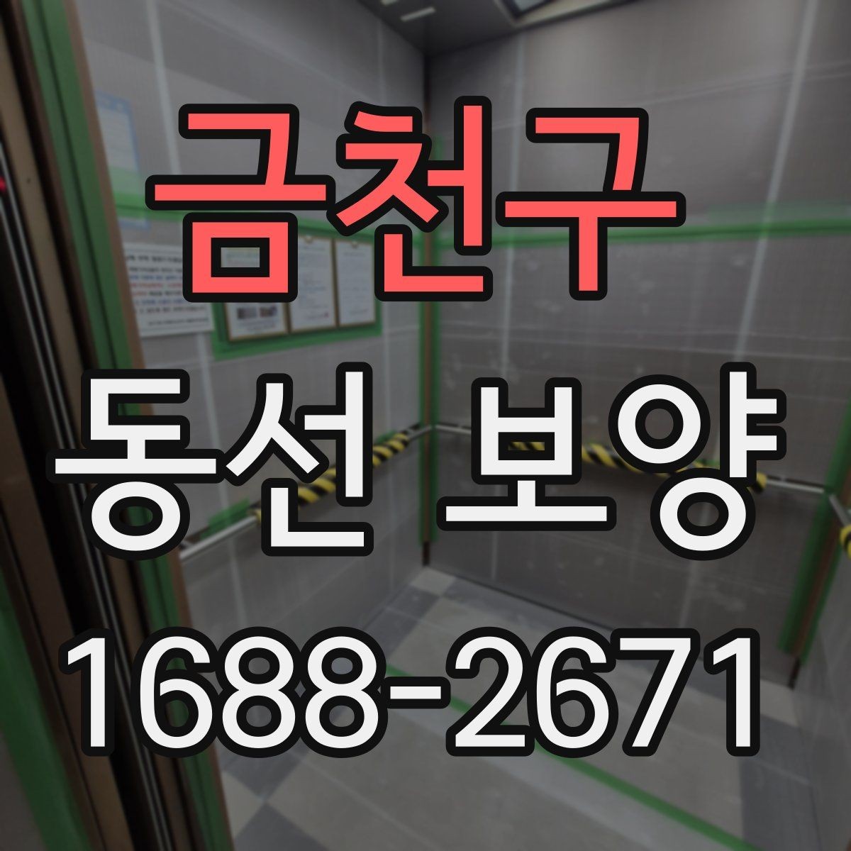 금천구 동선 보양 작업이 필요한 이유와 시공 절차