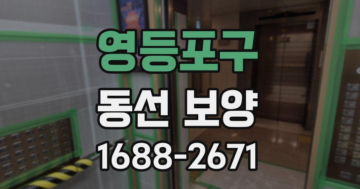 영등포구 동선 보양