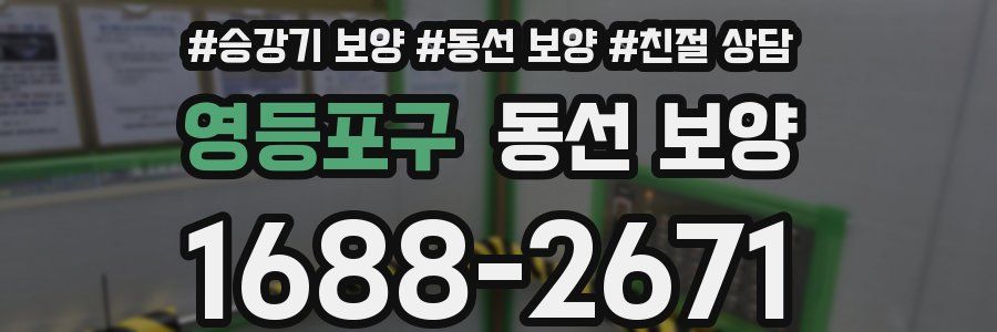 영등포구 동선 보양