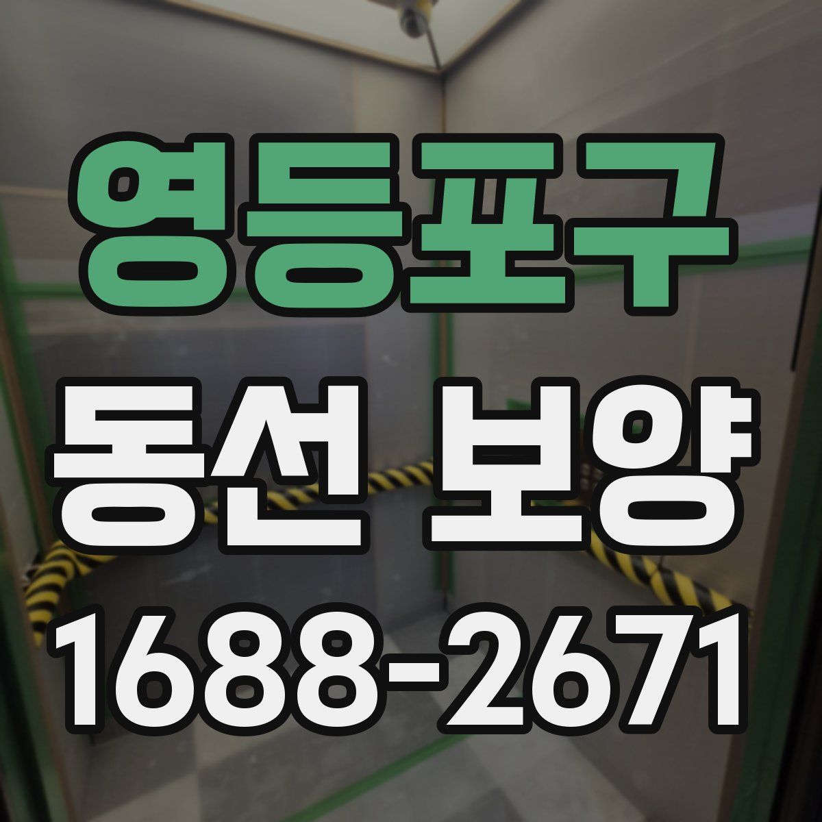 영등포구 동선 보양