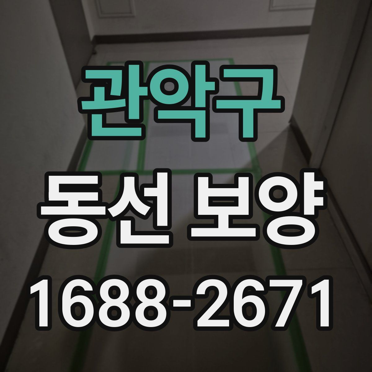 관악구 동선 보양
