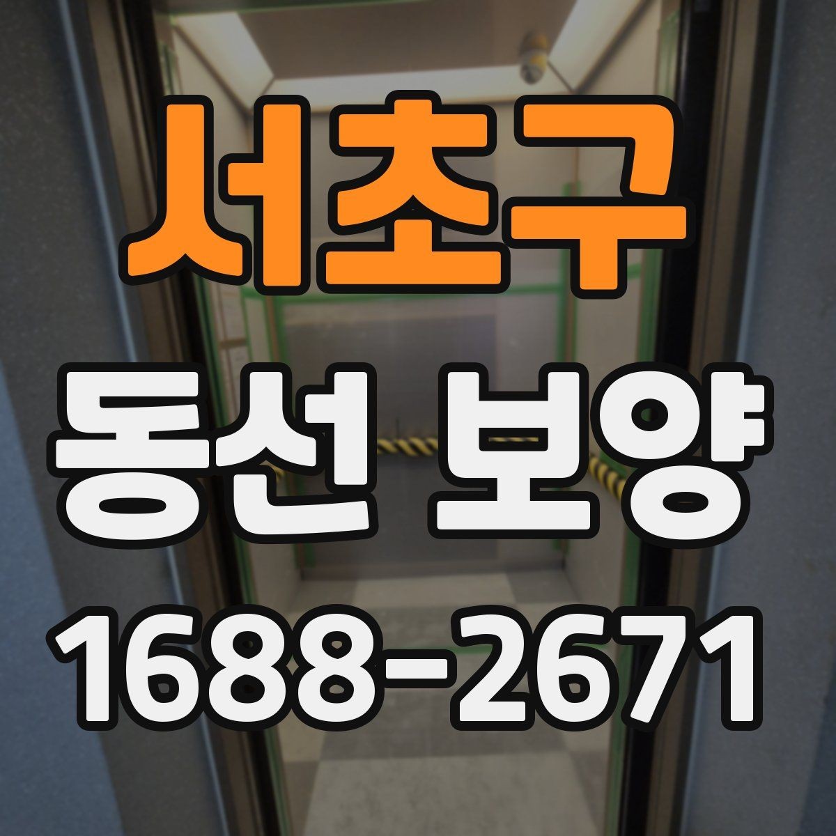 서초구 동선 보양 선택 전 확인하면 좋은 기준