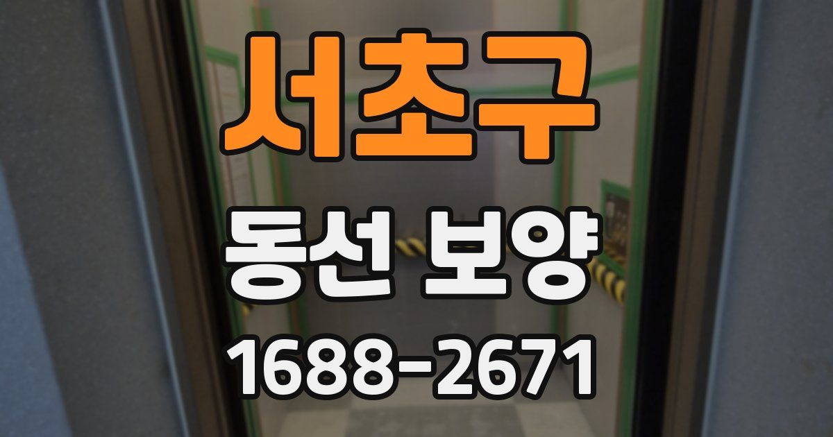 서초구 동선 보양
