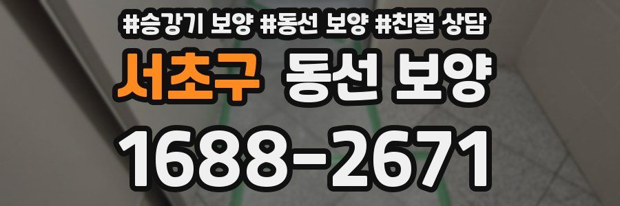 서초구 동선 보양